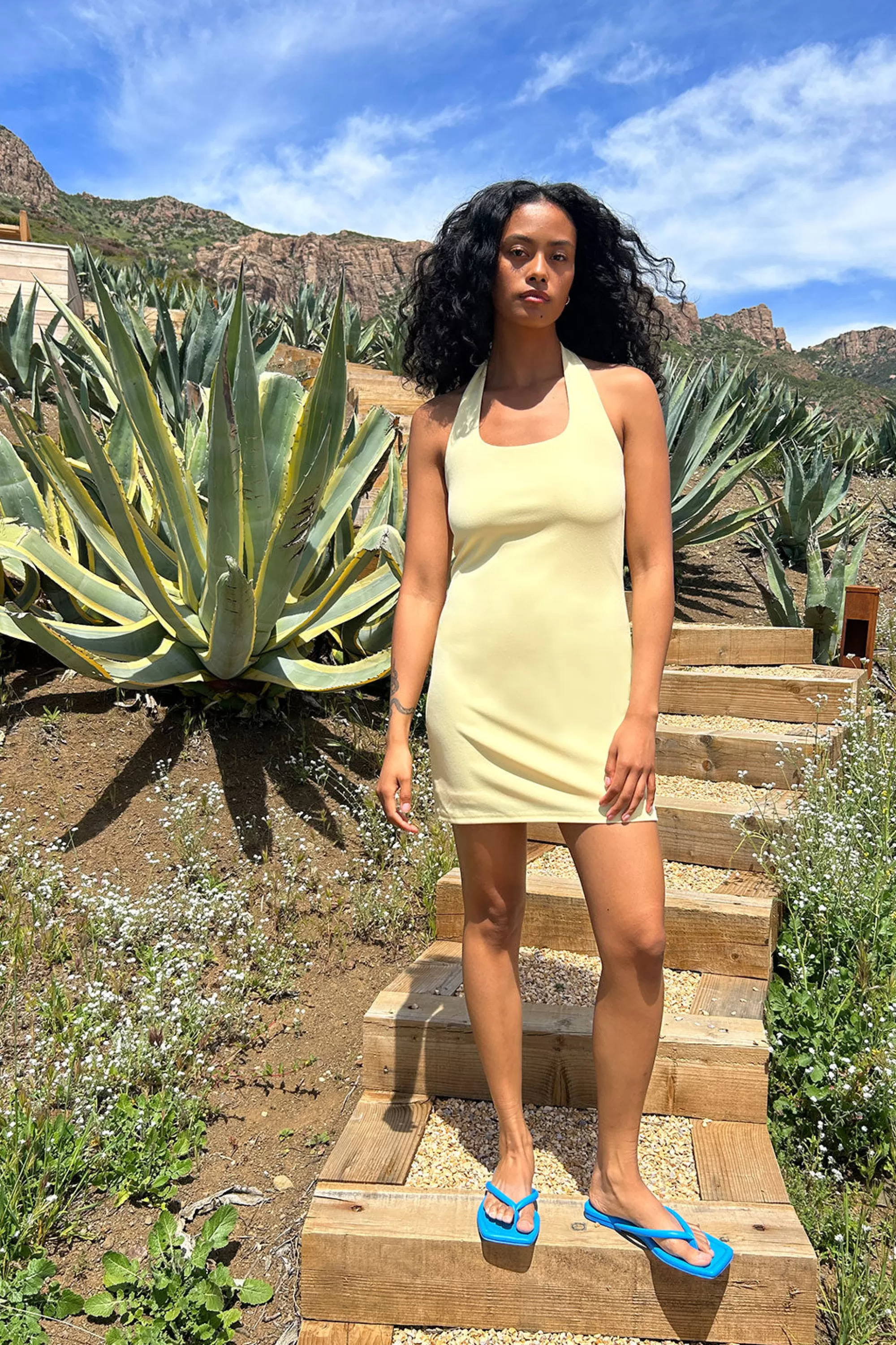 OAK + FORT HALTER MINI DRESS | Women Dresses