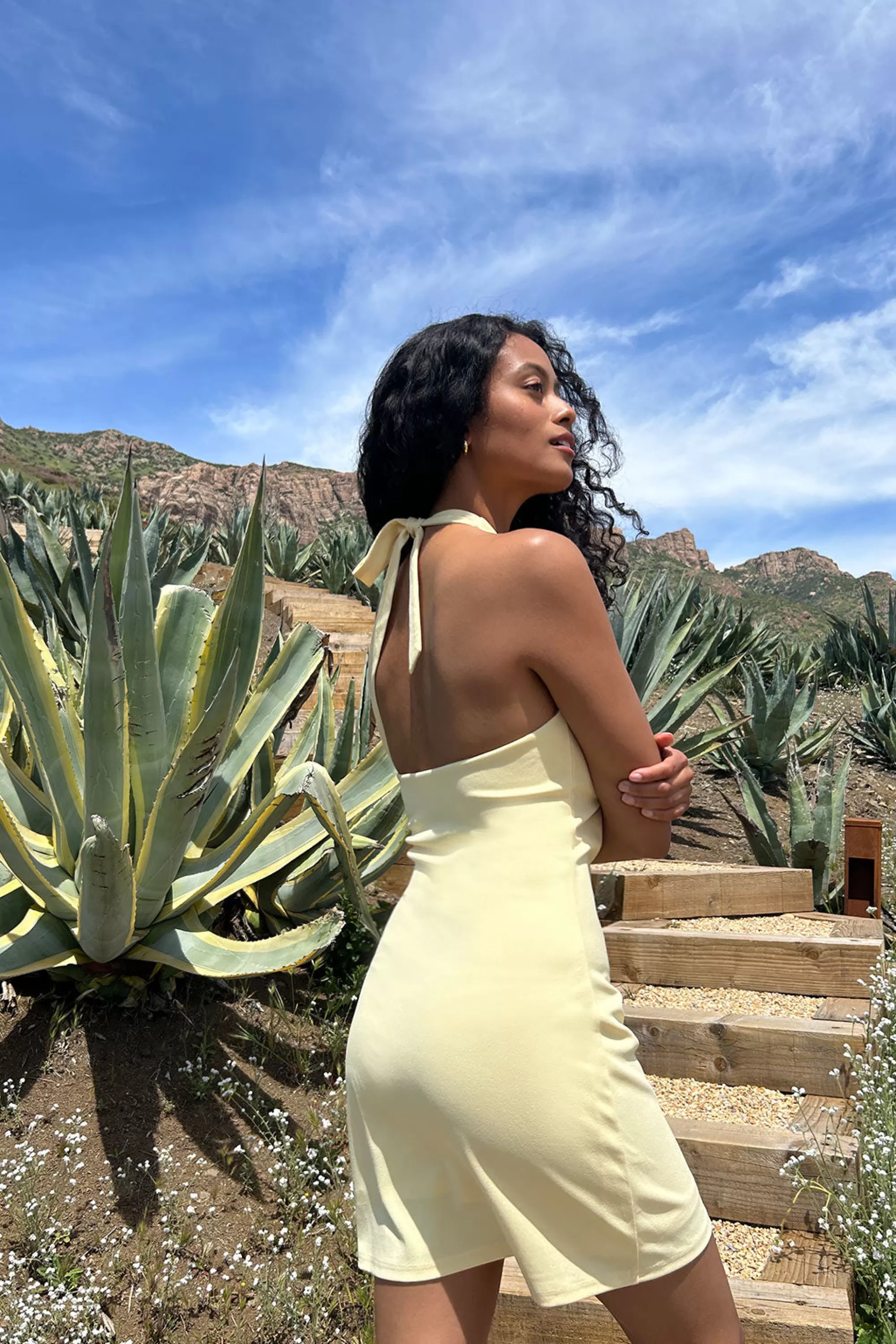 OAK + FORT HALTER MINI DRESS | Women Dresses